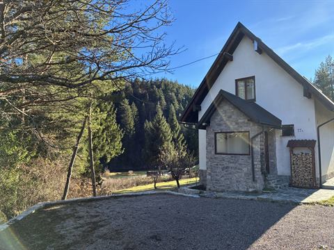 Das Haus River Lodge inmitten von Wald, Blick von der Einfahrt