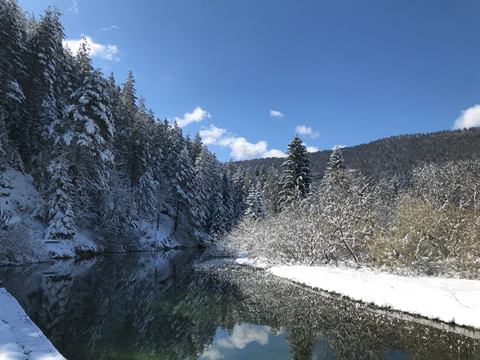 Winterlandschaft: der Fluss und verschneiter Wald